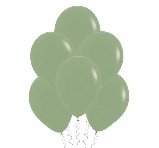 Шар с гелием, эвкалипт